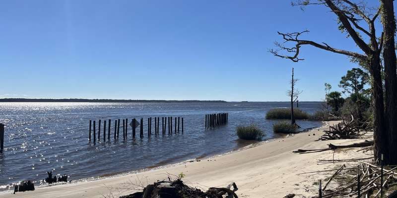 The featured photo for Boyd Living Shoreline