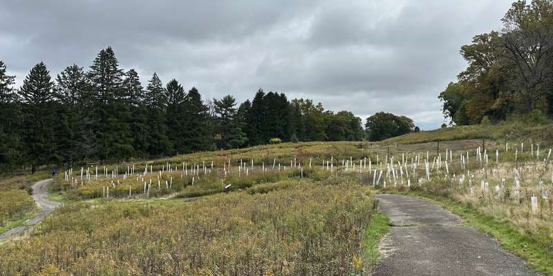 The featured photo for Churchill Valley Greenway