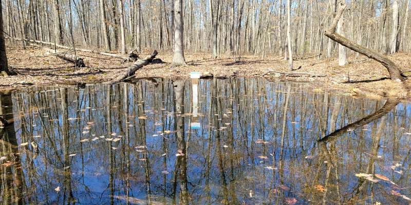 The featured photo for Kings Gap - Forest Pool 2