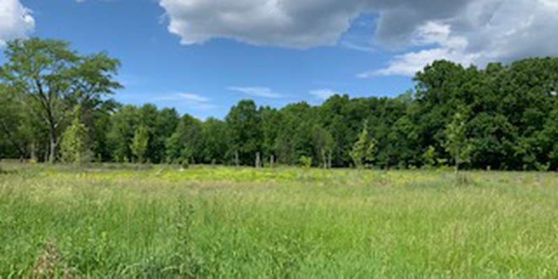 The featured photo for Picnic Shelter