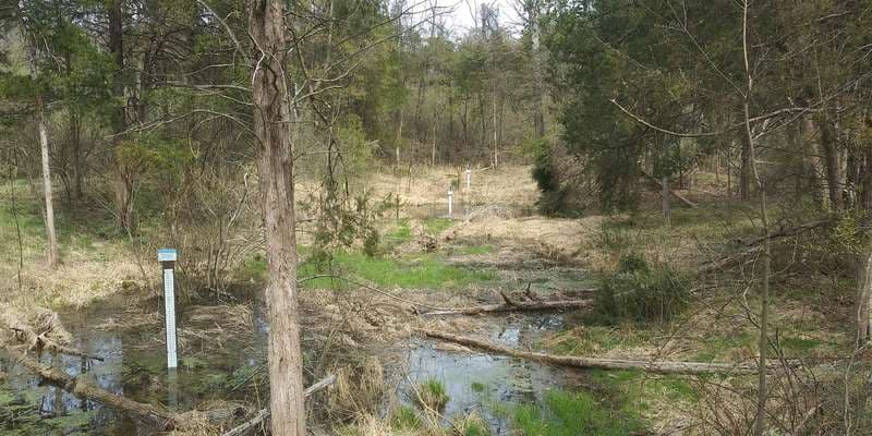 The featured photo for Pinchot - Wentz Pond