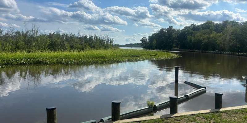 The featured photo for Martinak State Park