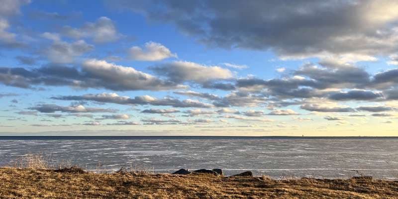 The featured photo for Point Rosa Marsh