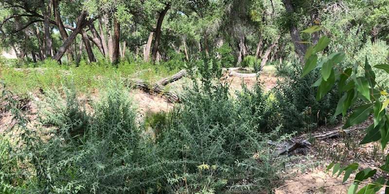 The featured photo for The River House Creek