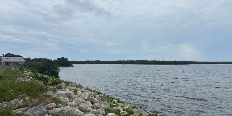 The featured photo for Coconut Point Living Shoreline