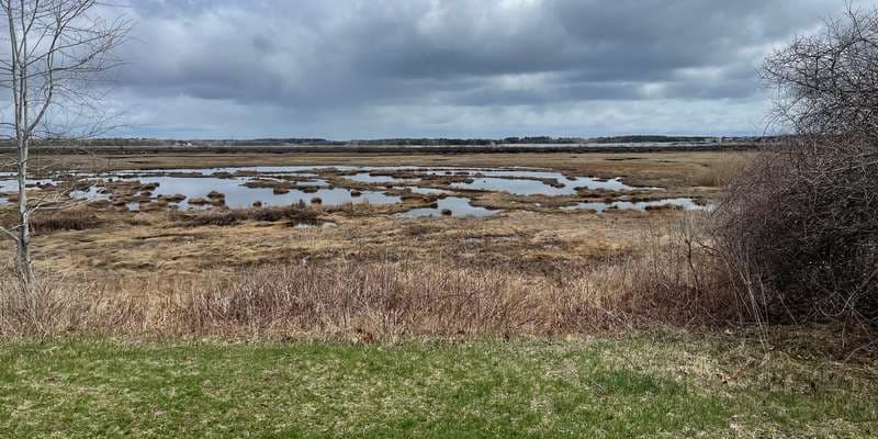 The featured photo for Blue Point Preserve
