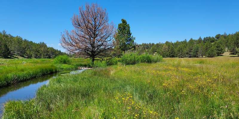 The featured photo for Fitzhugh Creek