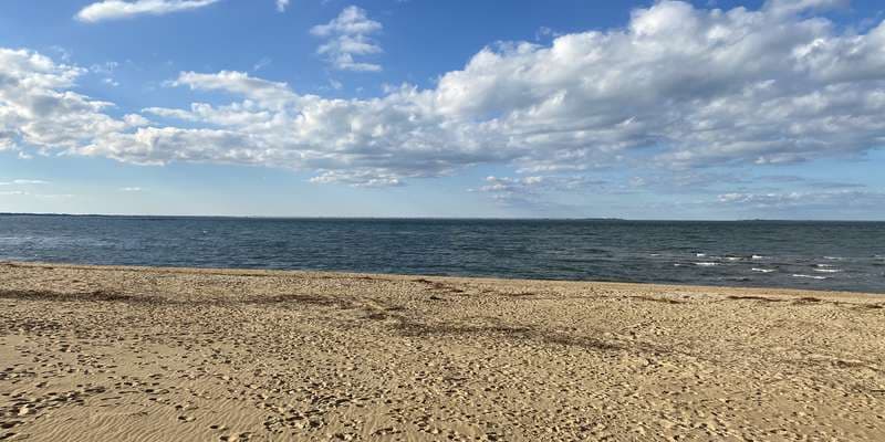 The featured photo for First Landing - Main Boardwalk Beach Access