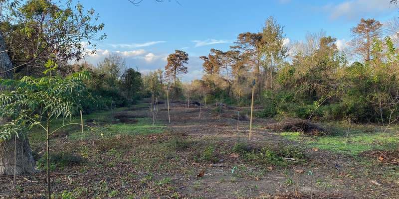 The featured photo for North Trail Restoration