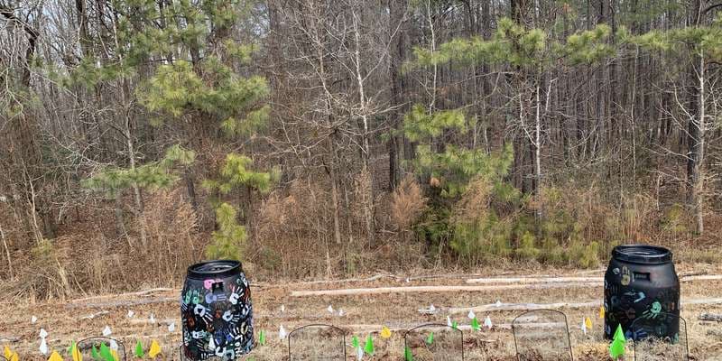 The featured photo for Robins Native Rain Garden