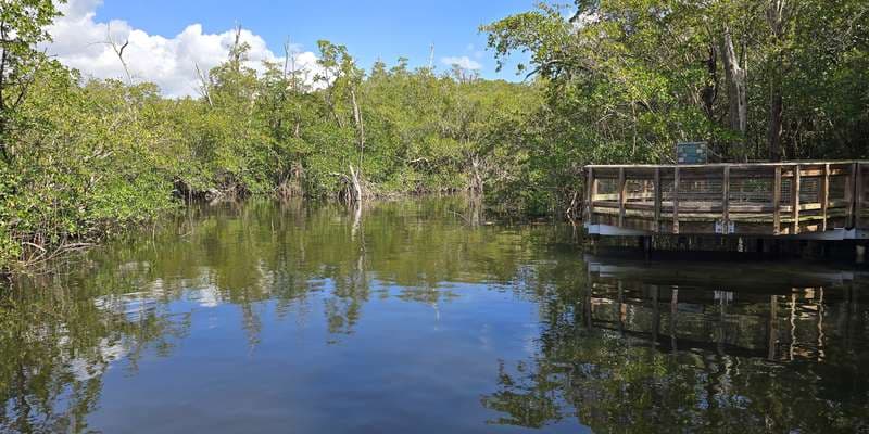 The featured photo for Deerfield Island Park Mudflat Habitat