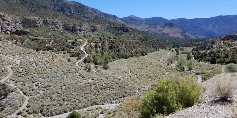 The featured photo for Acastus Trail