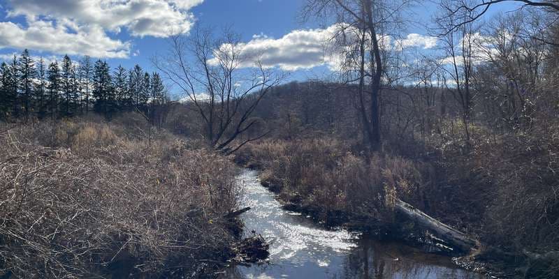 The featured photo for Quaker Brook #2