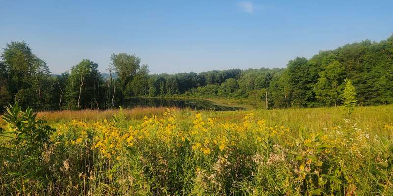 The featured photo for The Wilderness Center Pollinator Prairie and Lake