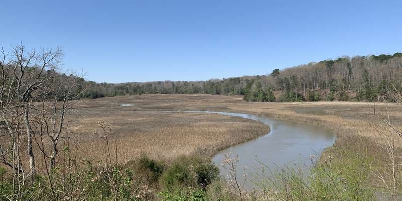 The featured photo for York River State Park 