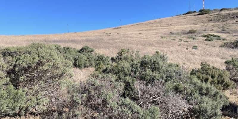 The featured photo for Tygerberg Nature Reserve 2