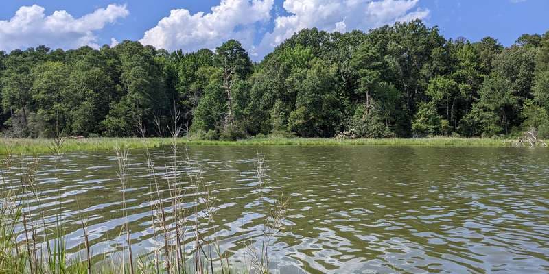 The featured photo for Popes Creek Marsh -George Washington Birthplace NM