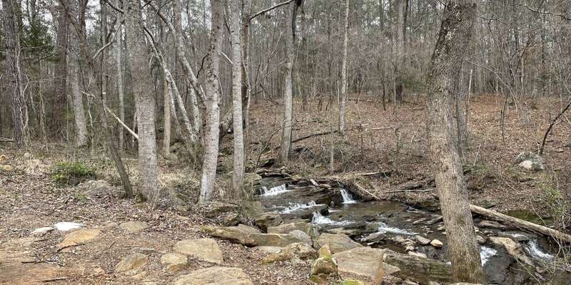 The featured photo for Stevenson Creek 