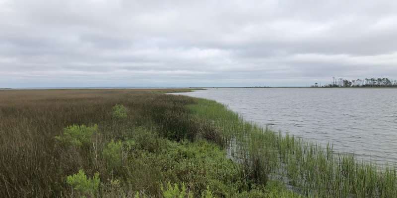 The featured photo for Nick’s Hole on St. George Island