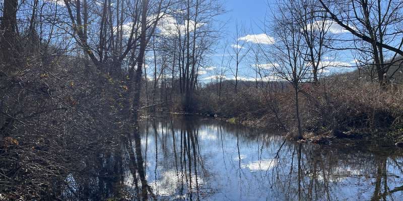 The featured photo for Quaker Brook #1