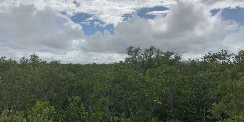 The featured photo for Environmental Learning Center