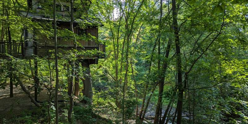 The featured photo for For-Mar Barrier Free Treehouse