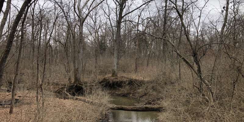 The featured photo for Brush Creek Bridge
