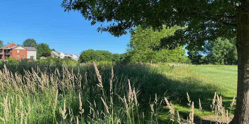 The featured photo for Dean L. Saylor Park