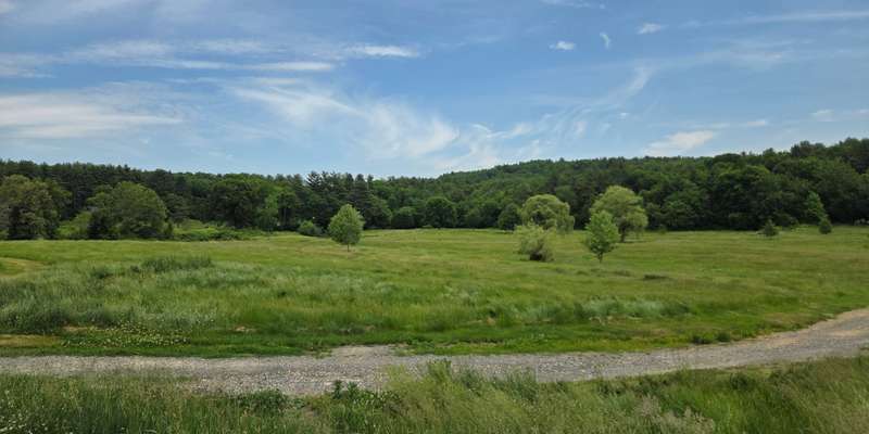 The featured photo for Beaver Brook