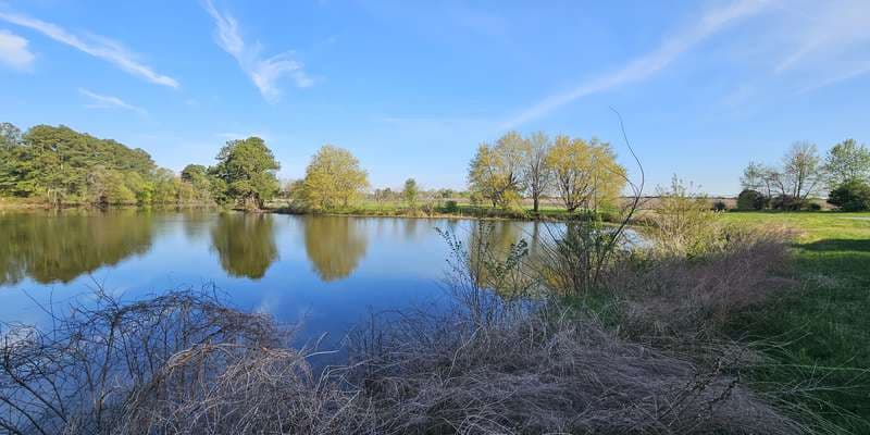 The featured photo for Cypress Branch State Park