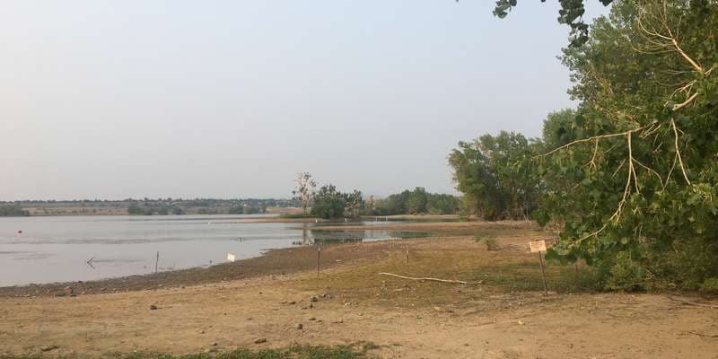 The featured photo for Standley Lake Bird Island 