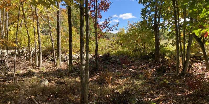 The featured photo for Morrill Stillings Bird Sanctuary