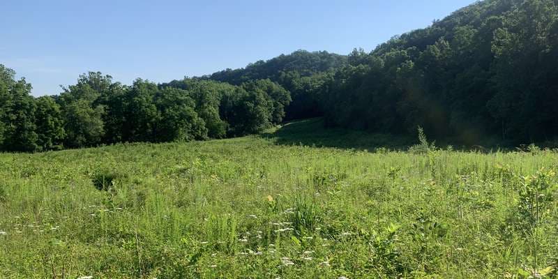 The featured photo for Seven Bends State Park