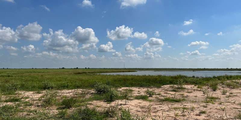The featured photo for Blazing Star Prairie