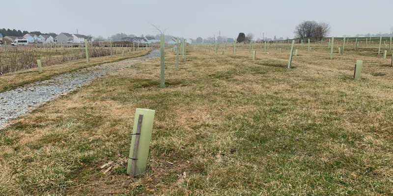 The featured photo for Eurofins