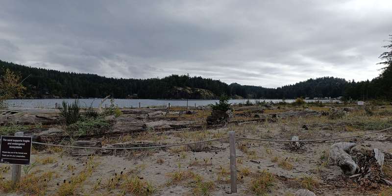 The featured photo for Buccaneer Bay Park Coastal Sand Ecosystems