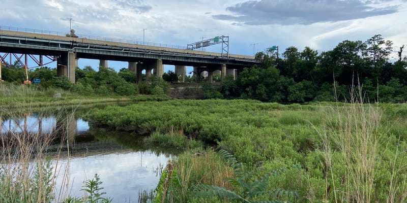 The featured photo for The Little Hell Gate Salt Marsh