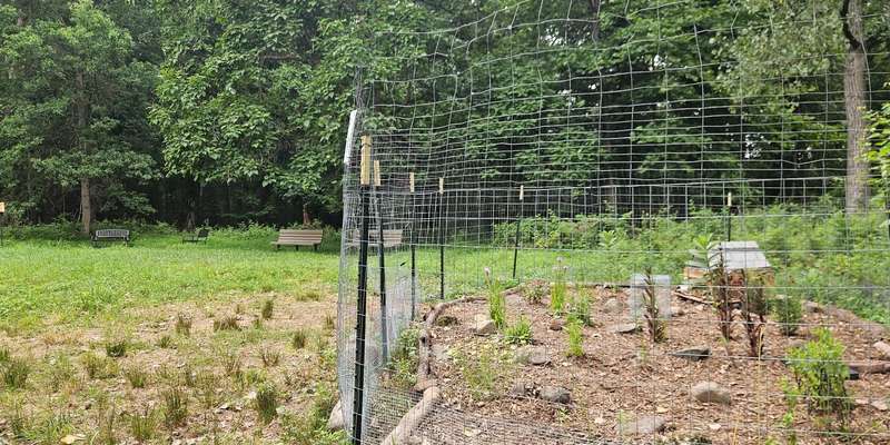 The featured photo for DNC Emerson Meadow