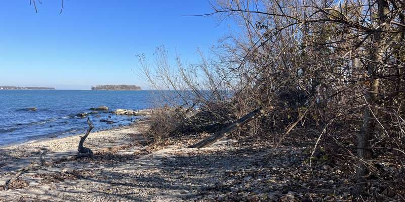 The featured photo for Scheeff East Point Preserve