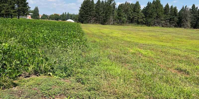 The featured photo for Habitat Friendly Solar & Utility Corridor Prairies
