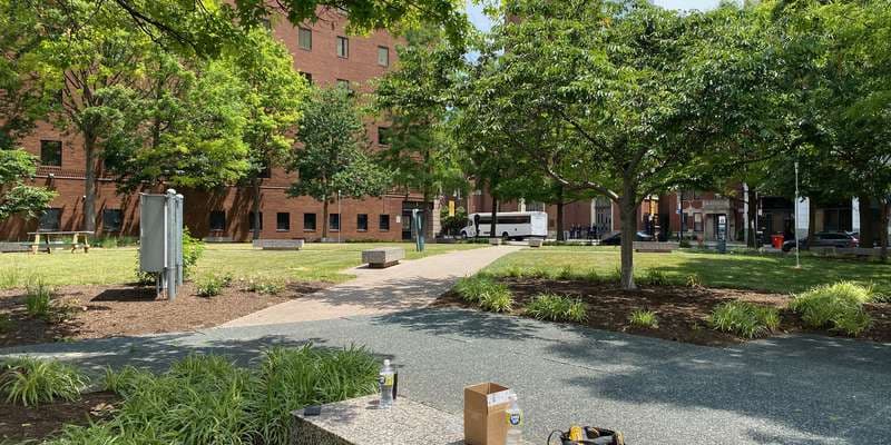 The featured photo for Trager MicroForest Project View 1