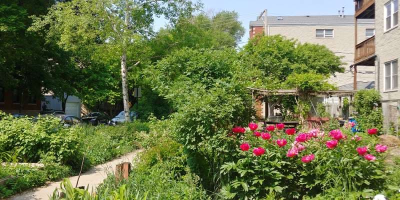 The featured photo for Greenhouse Garden