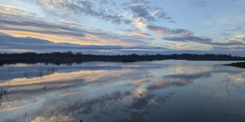 The featured photo for Wetlands from the Boardwalk Viewing Platform