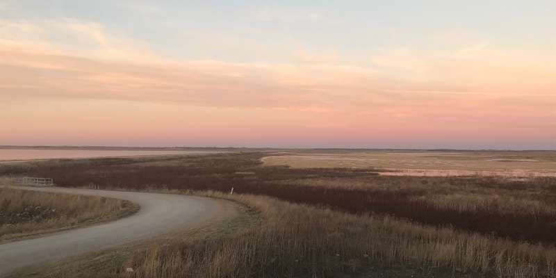 The featured photo for Cheyenne Bottoms Wildlife Area