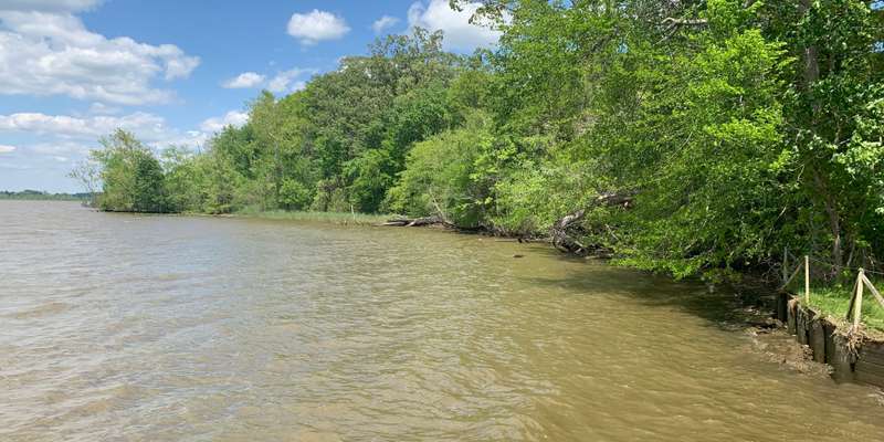 The featured photo for Living Shoreline Restoration