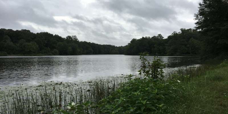 The featured photo for Greenbelt Lake