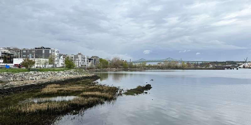 The featured photo for Condor Street Urban Wild