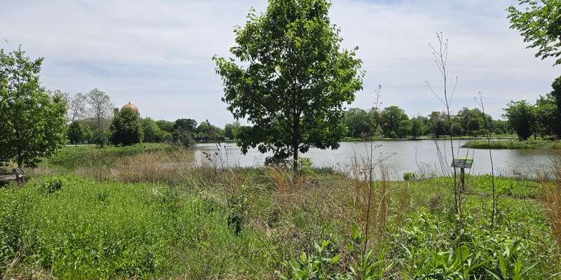 The featured photo for Garfield Park Natural Area