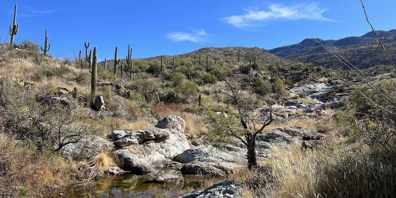 The featured photo for Wildhorse Pools
