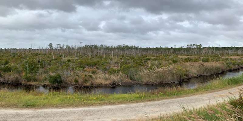 The featured photo for Gull Rock, E. Merle Waterfowl Impoundment